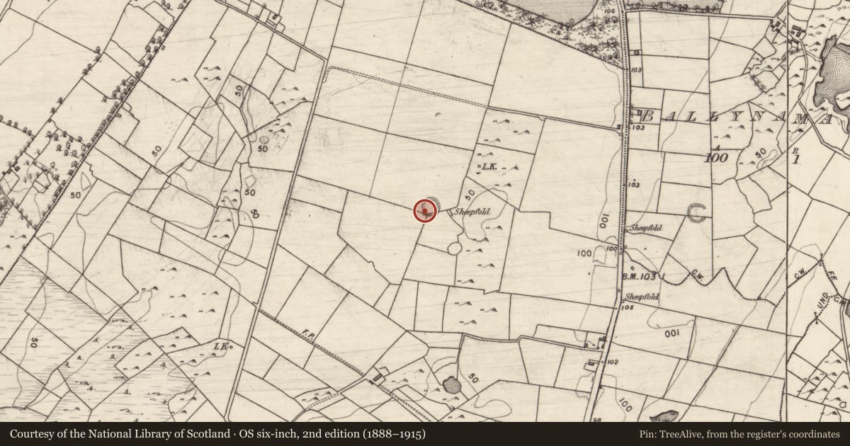 Ordnance Survey six-inch map, 2nd edition (1888–1915) covering the location of Ringfort - rath, Glenbrack, County Galway, with a pin at the register's coordinates
