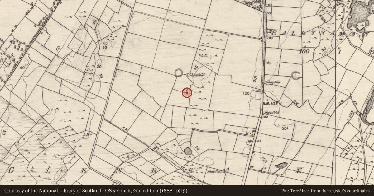 Ordnance Survey six-inch map, 2nd edition (1888–1915) covering the location of Children's burial ground, Glenbrack, County Galway, with a pin at the register's coordinates