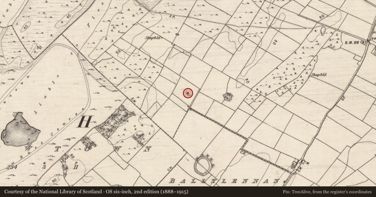 Ordnance Survey six-inch map, 2nd edition (1888–1915) covering the location of Ringfort - cashel, Glenbrack, County Galway, with a pin at the register's coordinates