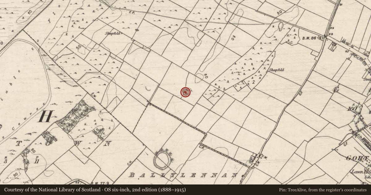 Ordnance Survey six-inch map, 2nd edition (1888–1915) covering the location of Ringfort - cashel, Glenbrack, County Galway, with a pin at the register's coordinates