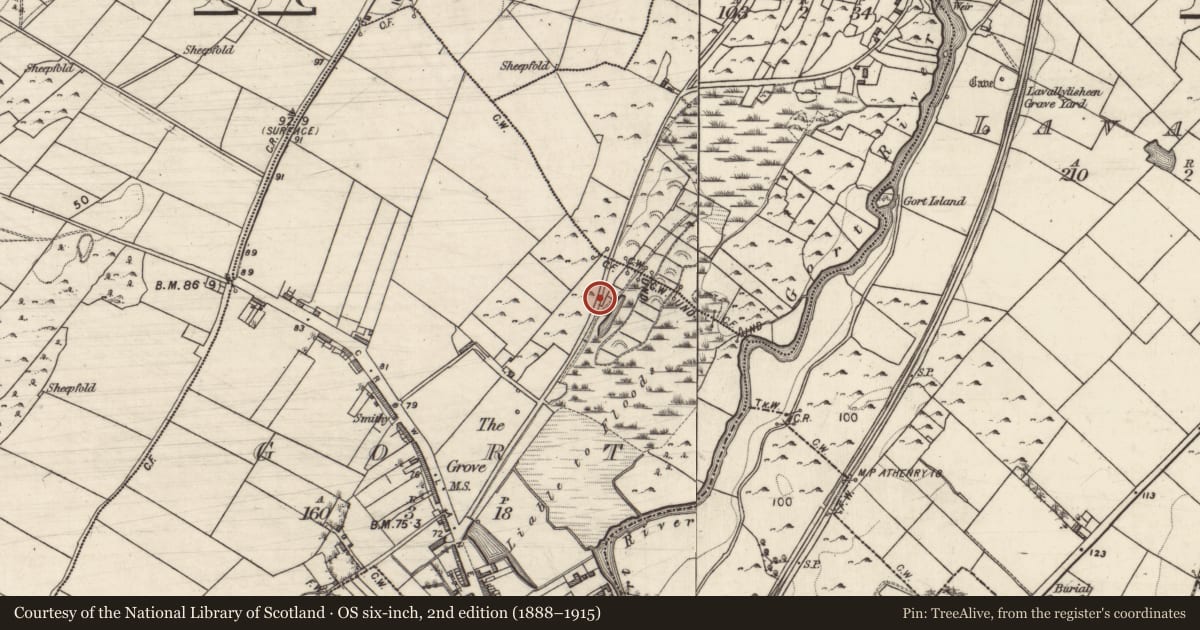 Ordnance Survey six-inch map, 2nd edition (1888–1915) covering the location of Gasworks, Gort, County Galway, with a pin at the register's coordinates