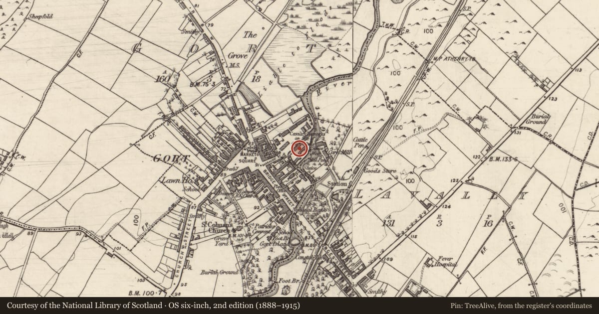 Ordnance Survey six-inch map, 2nd edition (1888–1915) covering the location of Ringfort - rath, Gort, County Galway, with a pin at the register's coordinates