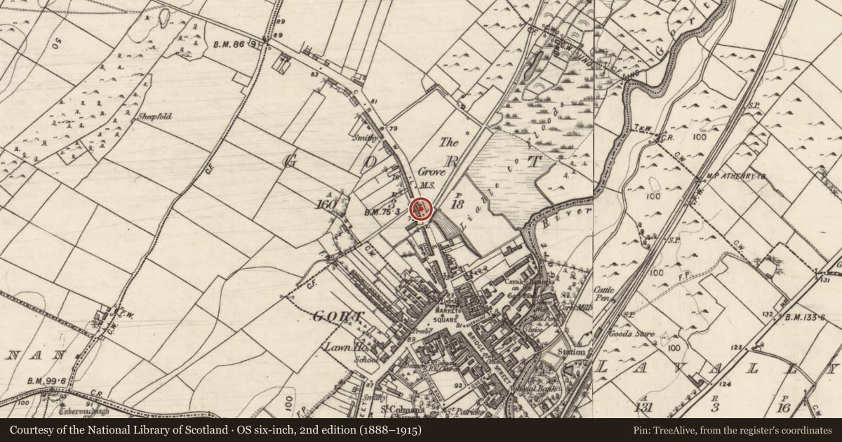 Ordnance Survey six-inch map, 2nd edition (1888–1915) covering the location of Milestone, Gort, County Galway, with a pin at the register's coordinates