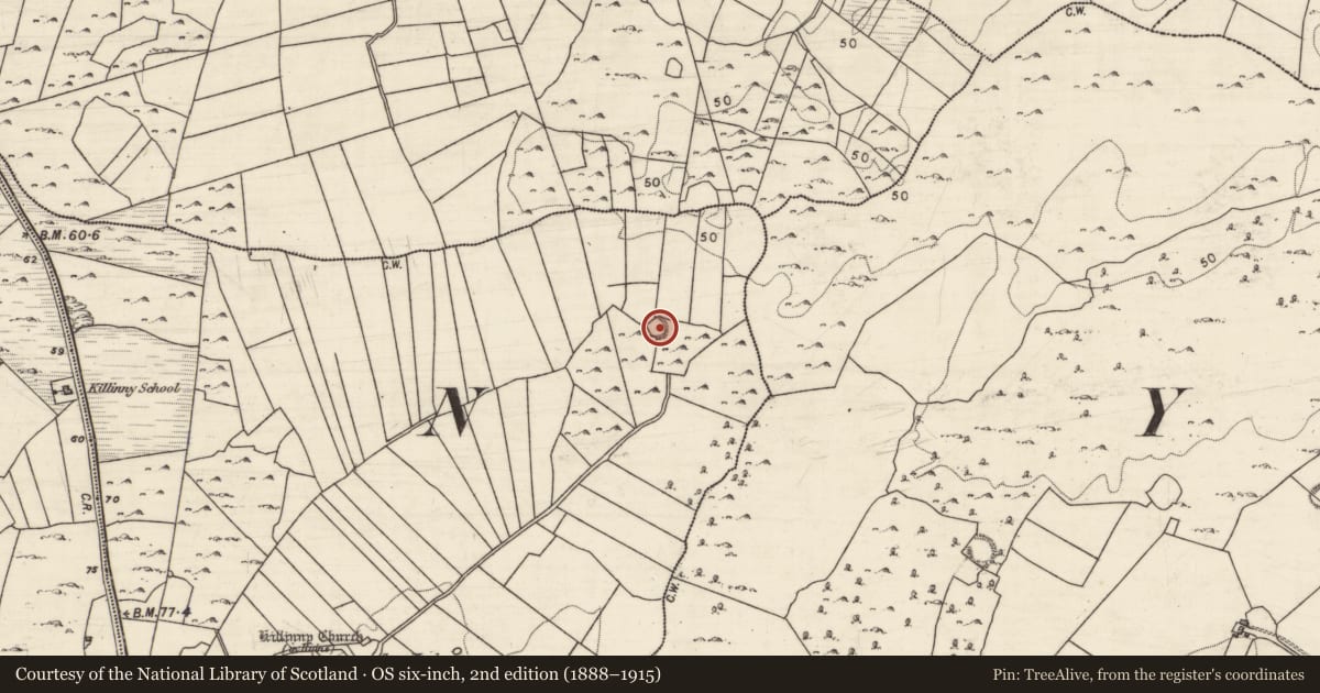 Ordnance Survey six-inch map, 2nd edition (1888–1915) covering the location of Ringfort - cashel, Killinny East, County Galway, with a pin at the register's coordinates