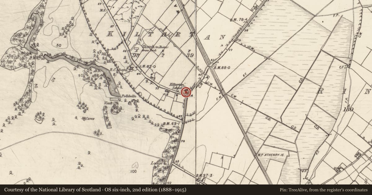 Ordnance Survey six-inch map, 2nd edition (1888–1915) covering the location of School, Kiltartan, County Galway, with a pin at the register's coordinates