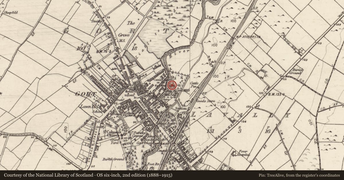 Ordnance Survey six-inch map, 2nd edition (1888–1915) covering the location of Mill - corn, Lavally, County Galway, with a pin at the register's coordinates