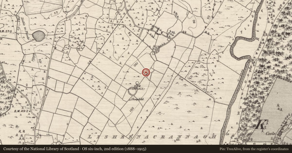 Ordnance Survey six-inch map, 2nd edition (1888–1915) covering the location of Ringfort - cashel, Lisheenacrannagh, County Galway, with a pin at the register's coordinates