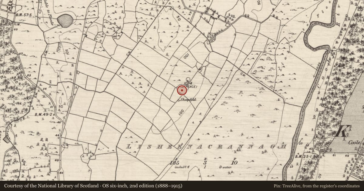 Ordnance Survey six-inch map, 2nd edition (1888–1915) covering the location of House - indeterminate date, Lisheenacrannagh, County Galway, with a pin at the register's coordinates