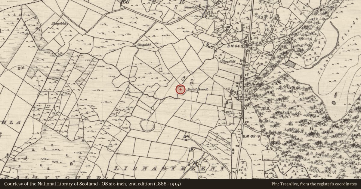 Ordnance Survey six-inch map, 2nd edition (1888–1915) covering the location of Ringfort - cashel, Lisnagyreeny, County Galway, with a pin at the register's coordinates