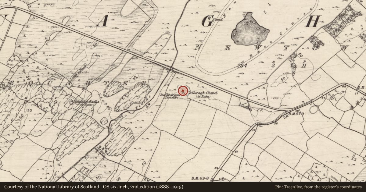 Ordnance Survey six-inch map, 2nd edition (1888–1915) covering the location of Church, Newtown, County Galway, with a pin at the register's coordinates