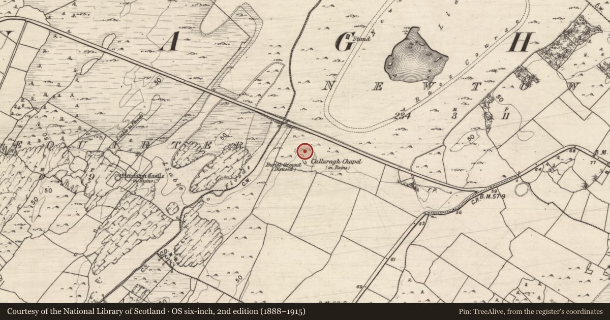 Ordnance Survey six-inch map, 2nd edition (1888–1915) covering the location of Graveyard, Newtown, County Galway, with a pin at the register's coordinates