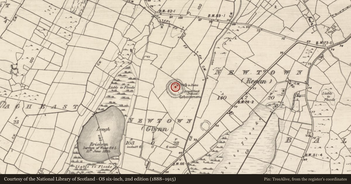 Ordnance Survey six-inch map, 2nd edition (1888–1915) covering the location of Ecclesiastical enclosure, Newtown (Glynn), County Galway, with a pin at the register's coordinates