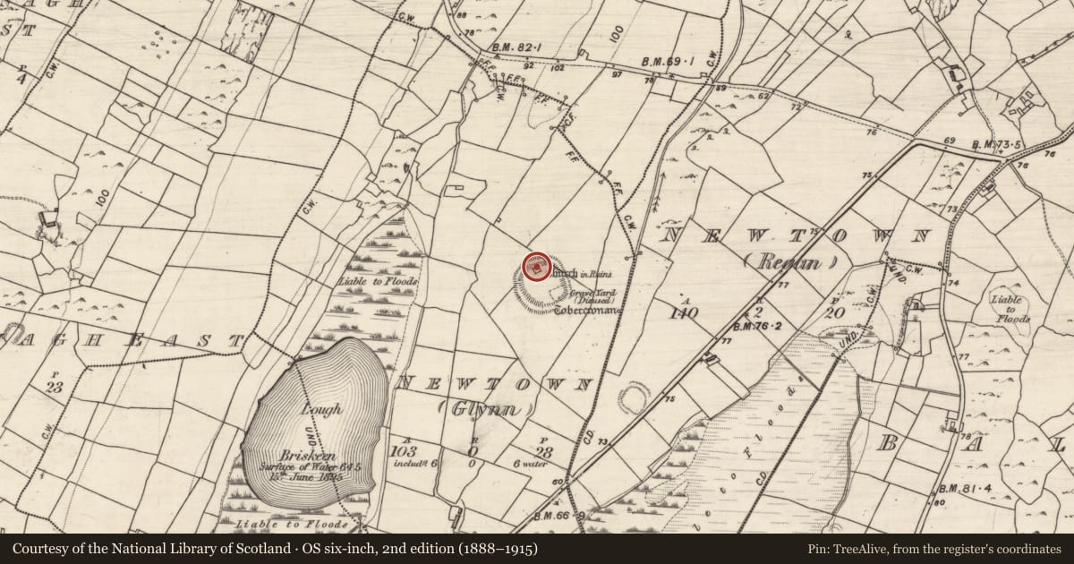 Ordnance Survey six-inch map, 2nd edition (1888–1915) covering the location of Church, Newtown (Glynn), County Galway, with a pin at the register's coordinates