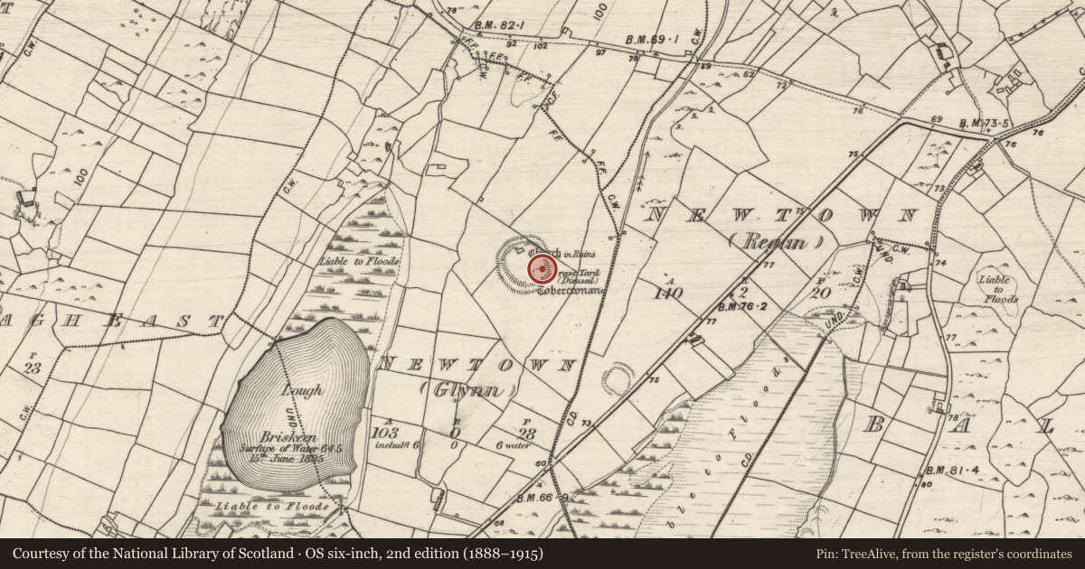 Ordnance Survey six-inch map, 2nd edition (1888–1915) covering the location of Burial ground, Newtown (Glynn), County Galway, with a pin at the register's coordinates