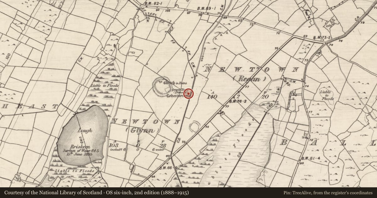 Ordnance Survey six-inch map, 2nd edition (1888–1915) covering the location of Ritual site - holy well, Newtown (Glynn), County Galway, with a pin at the register's coordinates