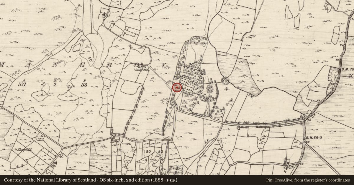 Ordnance Survey six-inch map, 2nd edition (1888–1915) covering the location of House - 18th/19th century, Normangrove, County Galway, with a pin at the register's coordinates