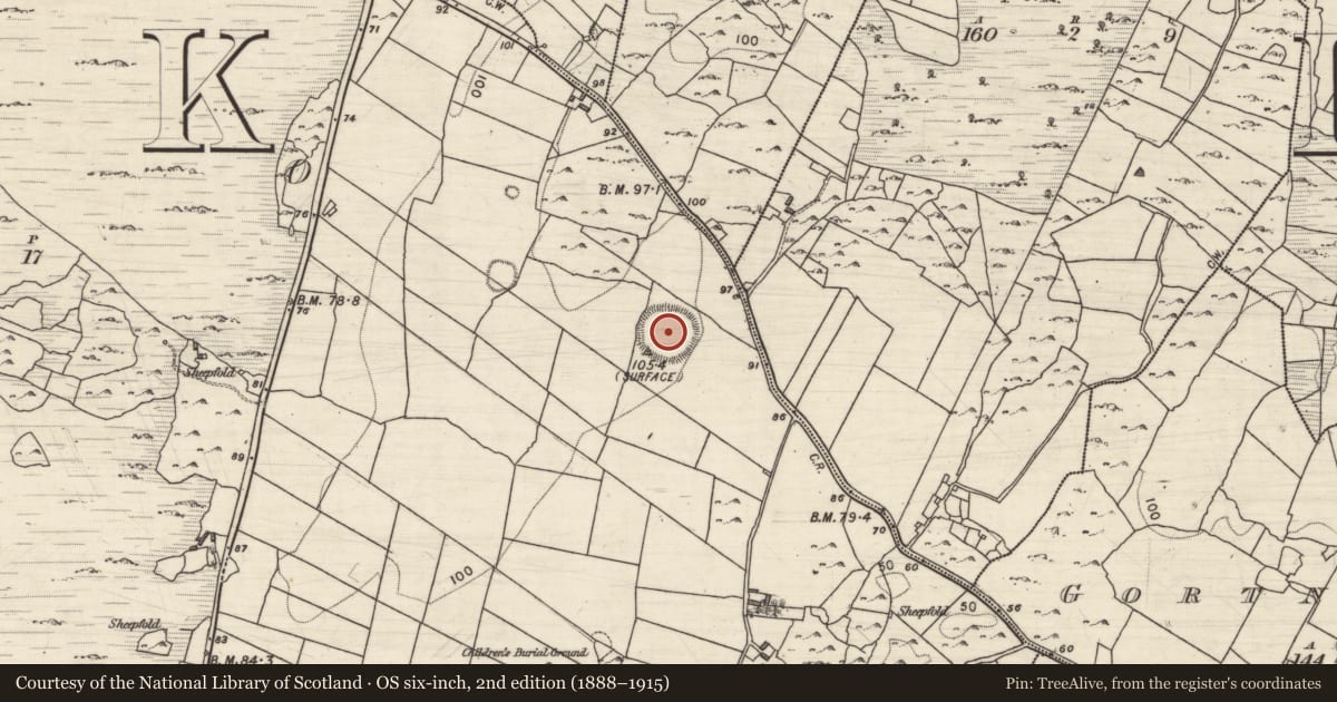 Ordnance Survey six-inch map, 2nd edition (1888–1915) covering the location of Enclosure - large enclosure, Roo, County Galway, with a pin at the register's coordinates