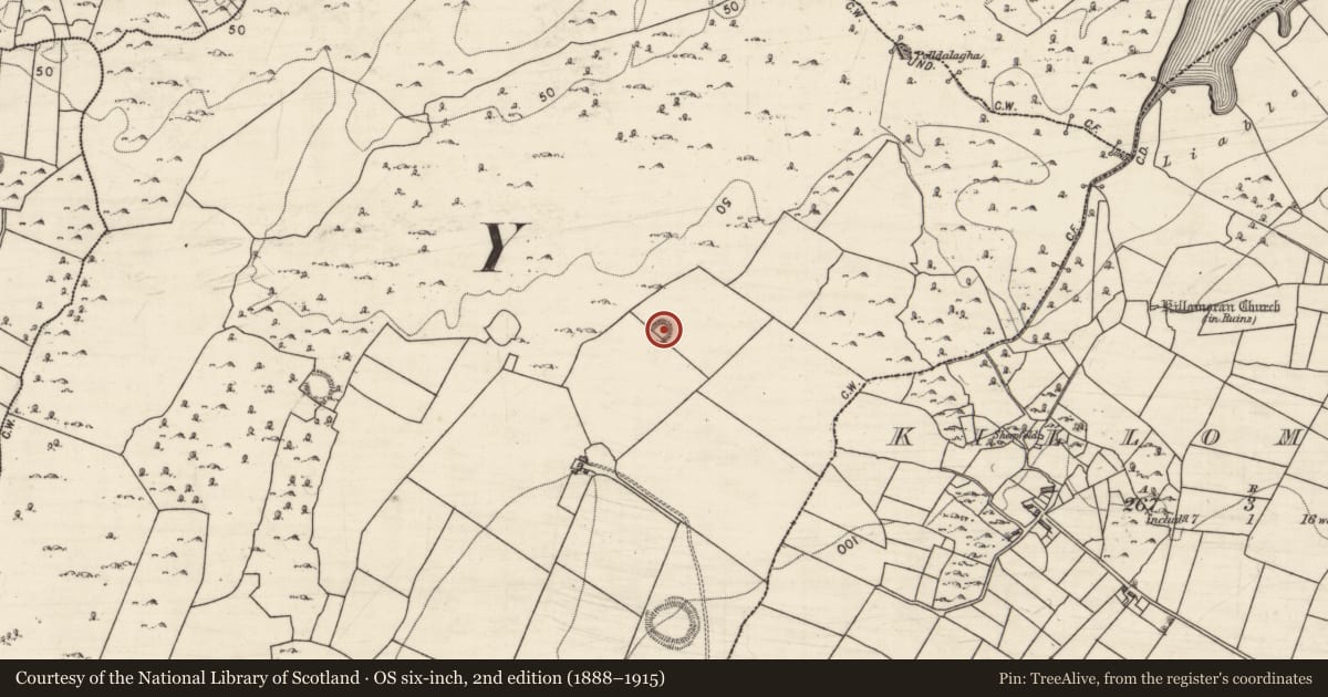 Ordnance Survey six-inch map, 2nd edition (1888–1915) covering the location of Ringfort - cashel, Shigaunagh, County Galway, with a pin at the register's coordinates