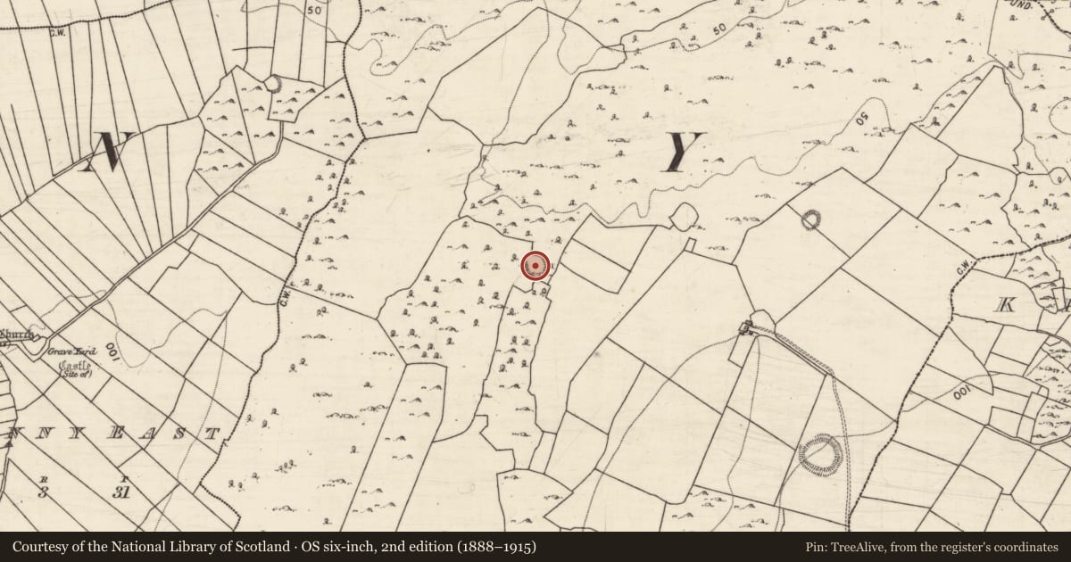 Ordnance Survey six-inch map, 2nd edition (1888–1915) covering the location of Ringfort - cashel, Shigaunagh, County Galway, with a pin at the register's coordinates