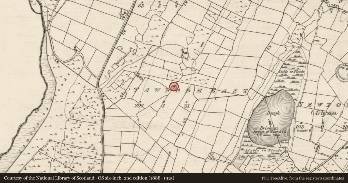 Ordnance Survey six-inch map, 2nd edition (1888–1915) covering the location of Ringfort - rath, Tawnagh East, County Galway, with a pin at the register's coordinates