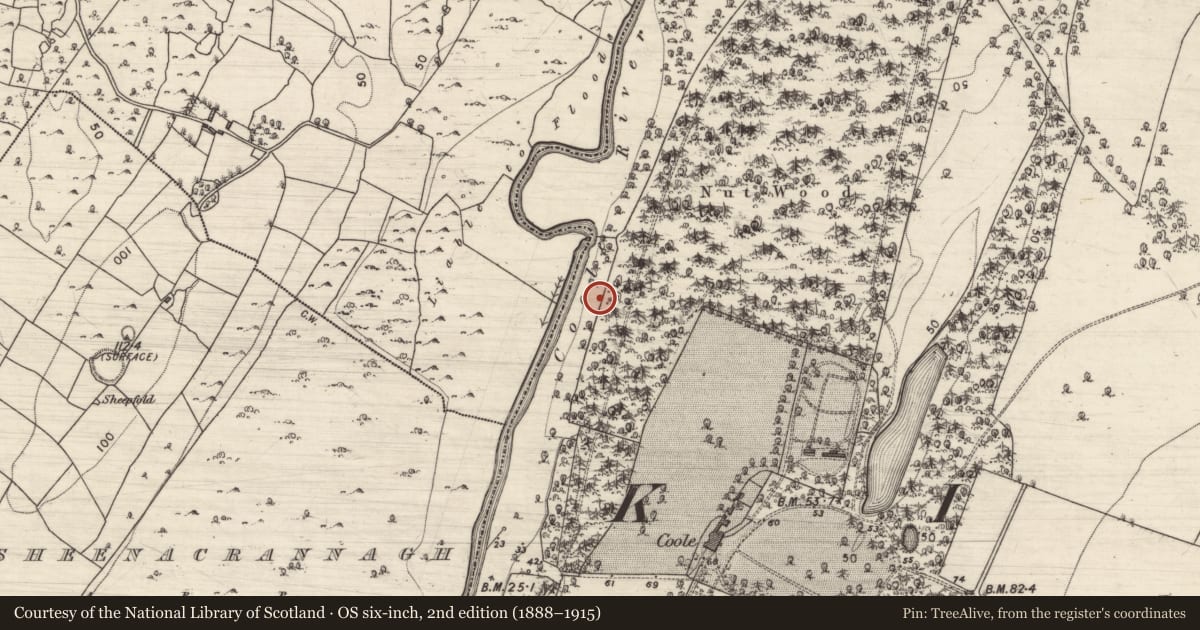 Ordnance Survey six-inch map, 2nd edition (1888–1915) covering the location of Fulacht fia, Coole Demesne, County Galway, with a pin at the register's coordinates