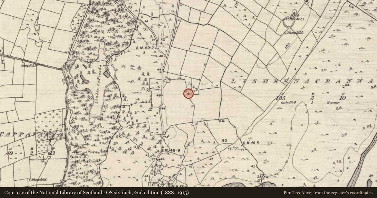 Ordnance Survey six-inch map, 2nd edition (1888–1915) covering the location of Ringfort - cashel, Doonowen, County Galway, with a pin at the register's coordinates