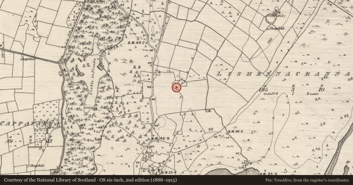 Ordnance Survey six-inch map, 2nd edition (1888–1915) covering the location of Hut site, Doonowen, County Galway, with a pin at the register's coordinates