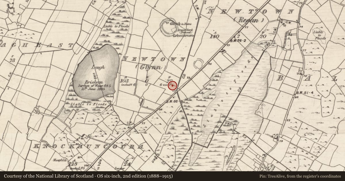 Ordnance Survey six-inch map, 2nd edition (1888–1915) covering the location of Fulacht fia, Newtown (Glynn), County Galway, with a pin at the register's coordinates