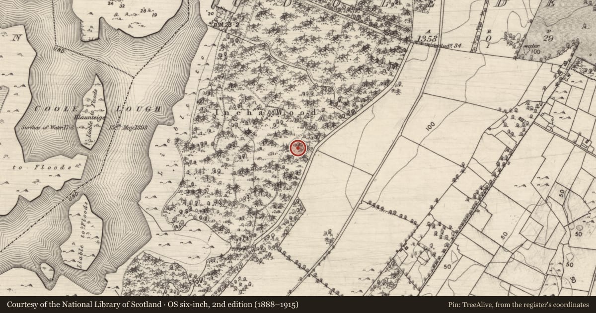 Ordnance Survey six-inch map, 2nd edition (1888–1915) covering the location of Enclosure, Coole Demesne, County Galway, with a pin at the register's coordinates