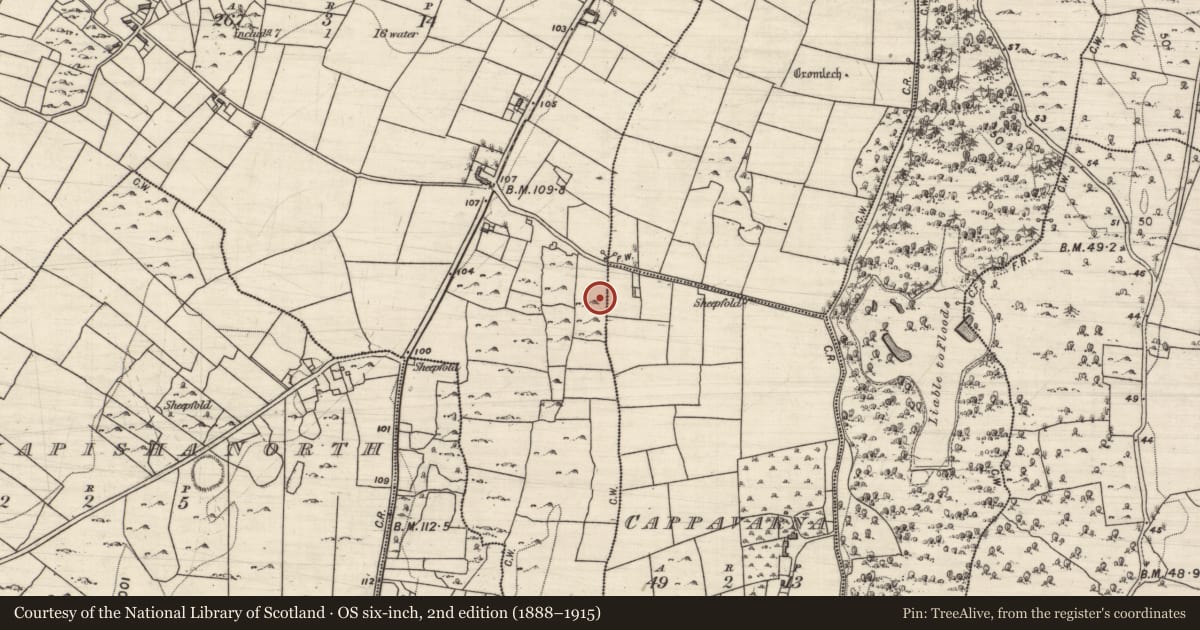 Ordnance Survey six-inch map, 2nd edition (1888–1915) covering the location of Children's burial ground, Killomoran, County Galway, with a pin at the register's coordinates