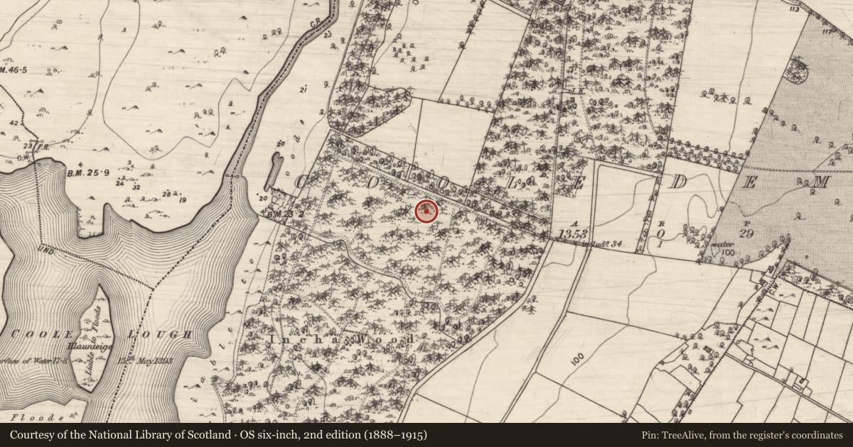 Ordnance Survey six-inch map, 2nd edition (1888–1915) covering the location of Ringfort - cashel, Coole Demesne, County Galway, with a pin at the register's coordinates