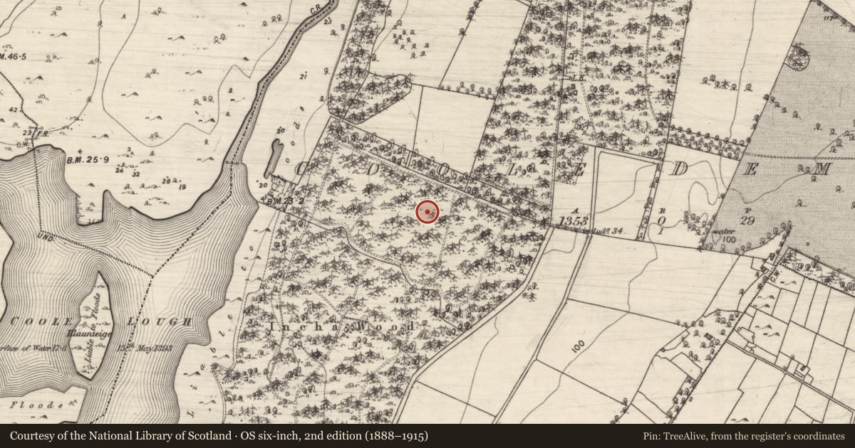 Ordnance Survey six-inch map, 2nd edition (1888–1915) covering the location of Field system, Coole Demesne, County Galway, with a pin at the register's coordinates