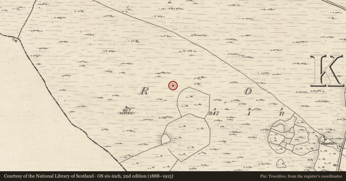 Ordnance Survey six-inch map, 2nd edition (1888–1915) covering the location of Ringfort - cashel, Roo, County Galway, with a pin at the register's coordinates