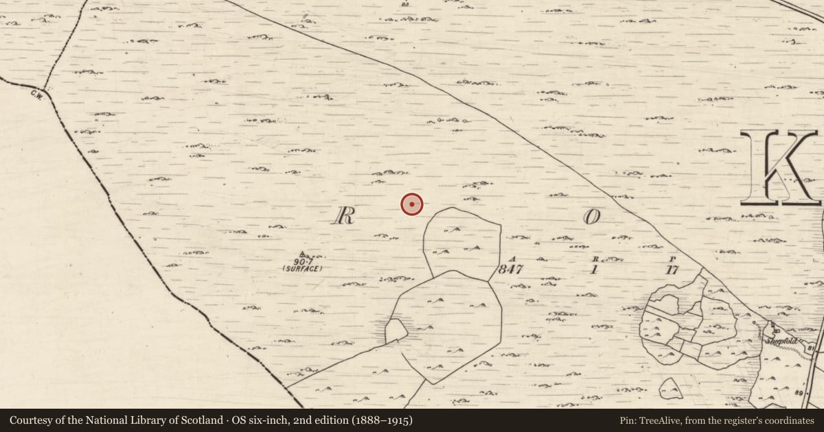 Ordnance Survey six-inch map, 2nd edition (1888–1915) covering the location of Structure, Roo, County Galway, with a pin at the register's coordinates