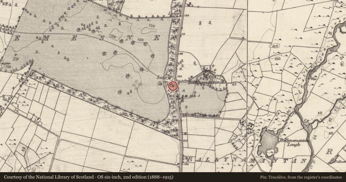 Ordnance Survey six-inch map, 2nd edition (1888–1915) covering the location of Milestone, Coole Demesne, County Galway, with a pin at the register's coordinates
