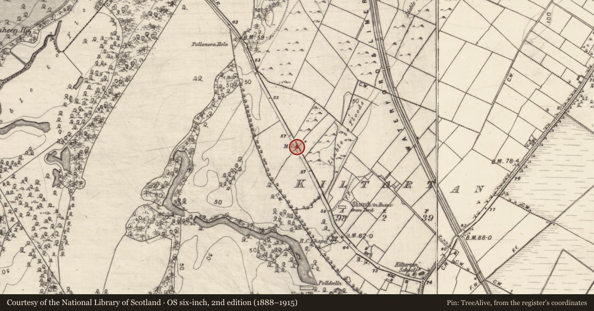 Ordnance Survey six-inch map, 2nd edition (1888–1915) covering the location of Milestone, Kiltartan, County Galway, with a pin at the register's coordinates
