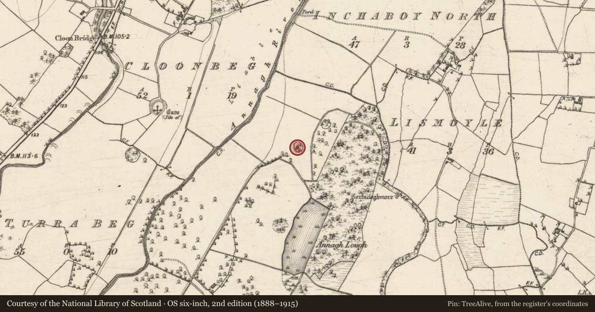 Ordnance Survey six-inch map, 2nd edition (1888–1915) covering the location of Designed landscape feature, Annagh, County Galway, with a pin at the register's coordinates