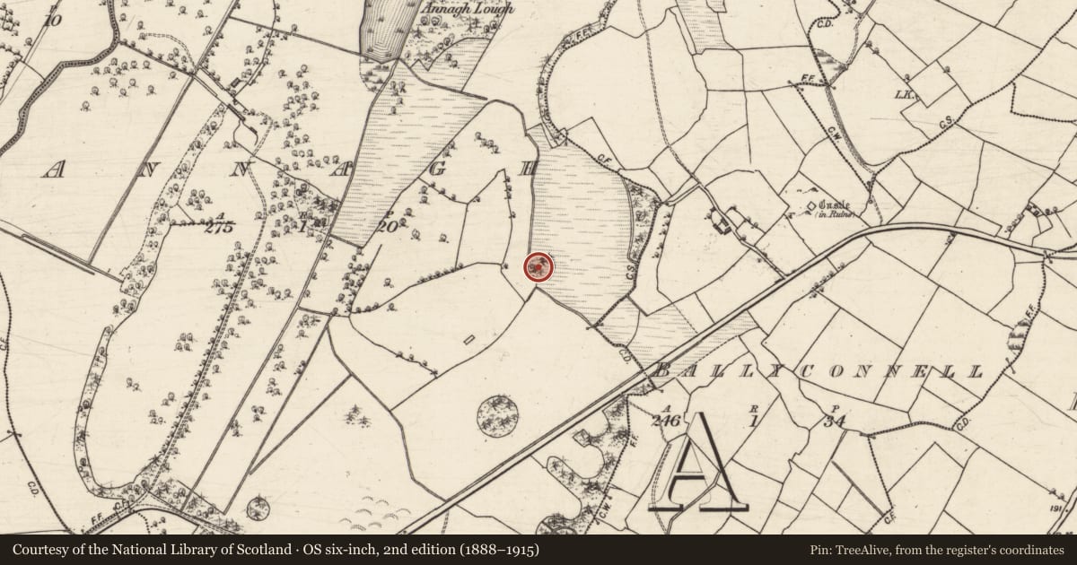 Ordnance Survey six-inch map, 2nd edition (1888–1915) covering the location of Designed landscape feature, Annagh, County Galway, with a pin at the register's coordinates