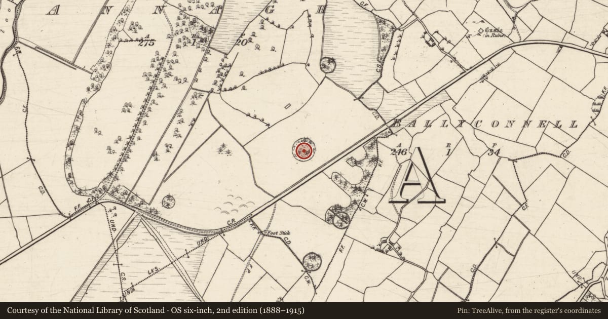Ordnance Survey six-inch map, 2nd edition (1888–1915) covering the location of Designed landscape feature, Annagh, County Galway, with a pin at the register's coordinates