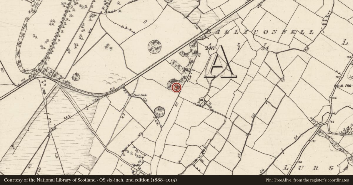 Ordnance Survey six-inch map, 2nd edition (1888–1915) covering the location of Designed landscape - tree-ring, Annagh, County Galway, with a pin at the register's coordinates