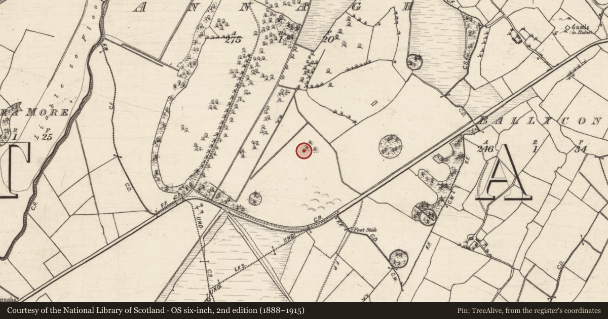Ordnance Survey six-inch map, 2nd edition (1888–1915) covering the location of Designed landscape - tree-ring, Annagh, County Galway, with a pin at the register's coordinates