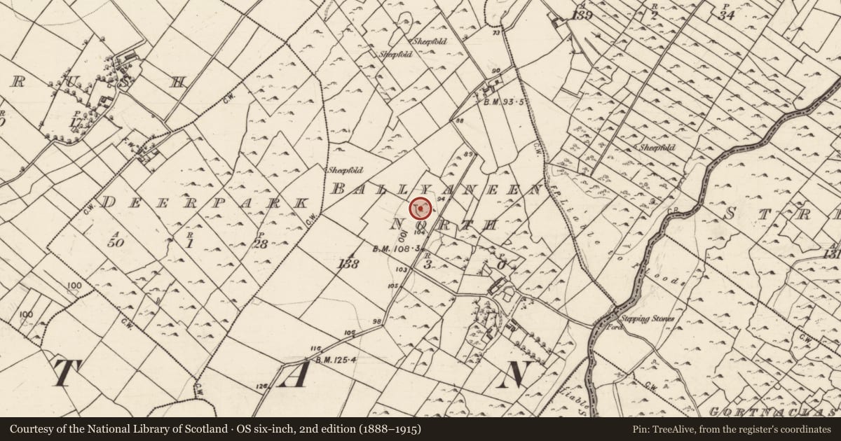 Ordnance Survey six-inch map, 2nd edition (1888–1915) covering the location of Ringfort - cashel, Ballyaneen North, County Galway, with a pin at the register's coordinates