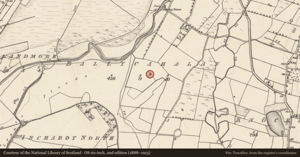 Ordnance Survey six-inch map, 2nd edition (1888–1915) covering the location of Ringfort - rath, Ballycahalan, County Galway, with a pin at the register's coordinates