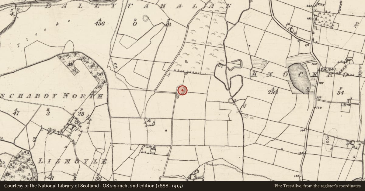Ordnance Survey six-inch map, 2nd edition (1888–1915) covering the location of Ringfort - rath, Ballycahalan, County Galway, with a pin at the register's coordinates