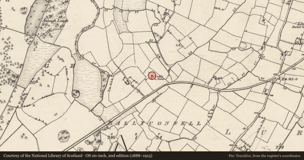 Ordnance Survey six-inch map, 2nd edition (1888–1915) covering the location of Castle - tower house, Ballyconnell, County Galway, with a pin at the register's coordinates