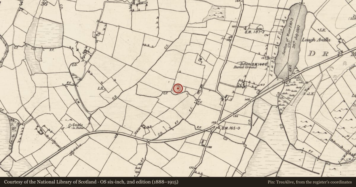 Ordnance Survey six-inch map, 2nd edition (1888–1915) covering the location of Ringfort - rath, Ballyconnell, Knockroe, County Galway, with a pin at the register's coordinates