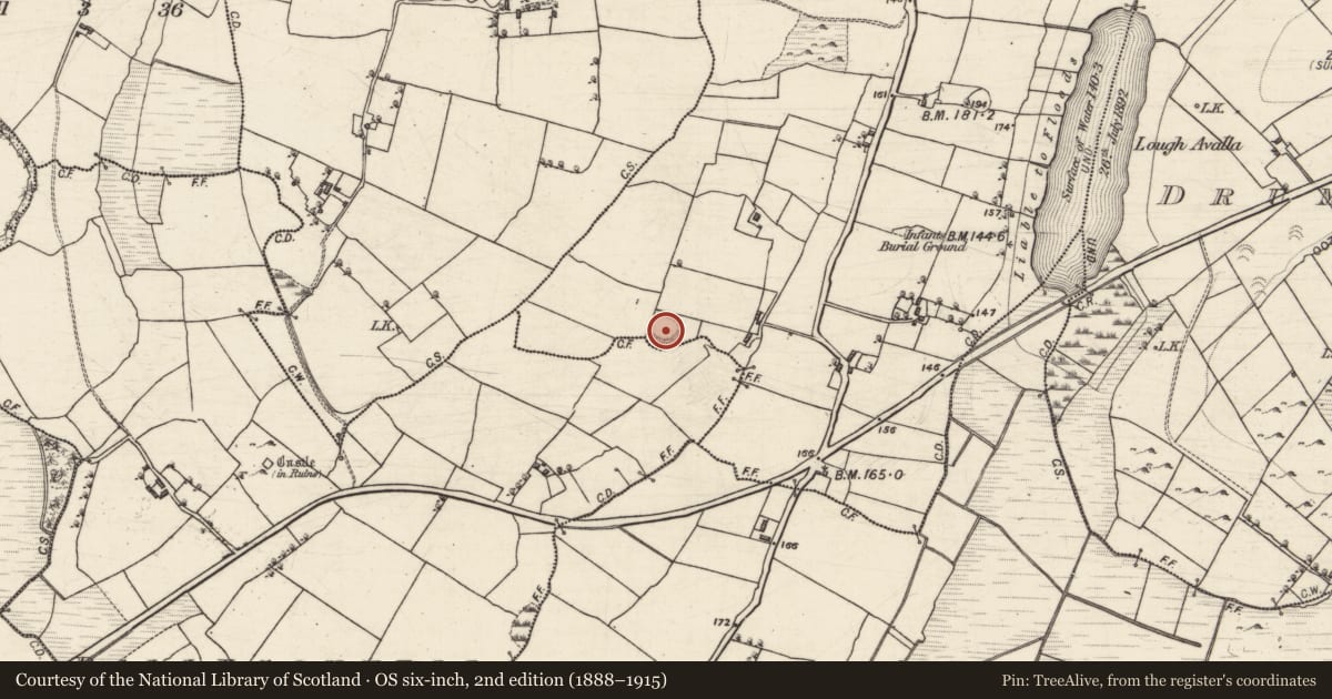 Ordnance Survey six-inch map, 2nd edition (1888–1915) covering the location of Souterrain, Knockroe, County Galway, with a pin at the register's coordinates