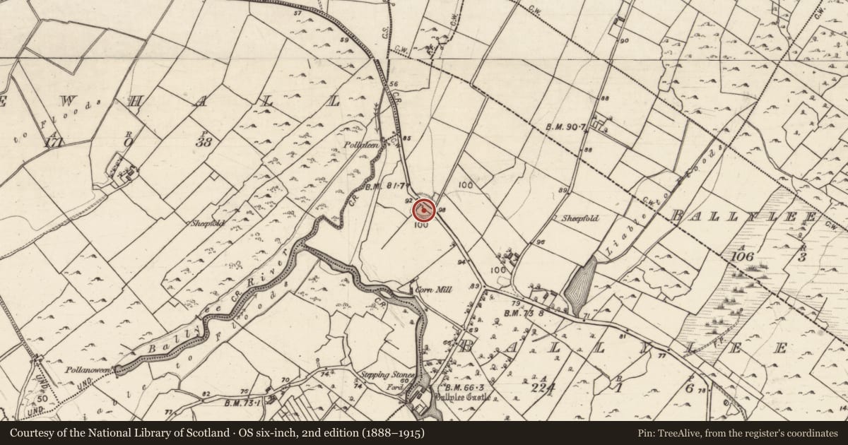Ordnance Survey six-inch map, 2nd edition (1888–1915) covering the location of Ringfort - cashel, Ballylee, County Galway, with a pin at the register's coordinates