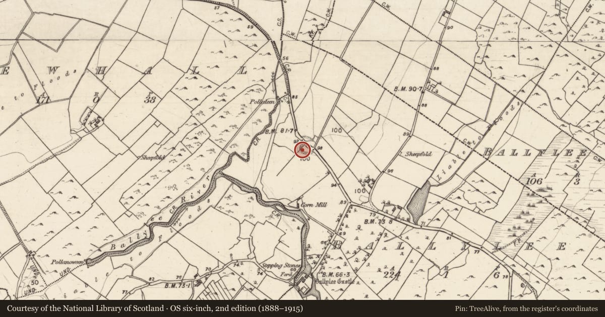 Ordnance Survey six-inch map, 2nd edition (1888–1915) covering the location of Souterrain, Ballylee, County Galway, with a pin at the register's coordinates