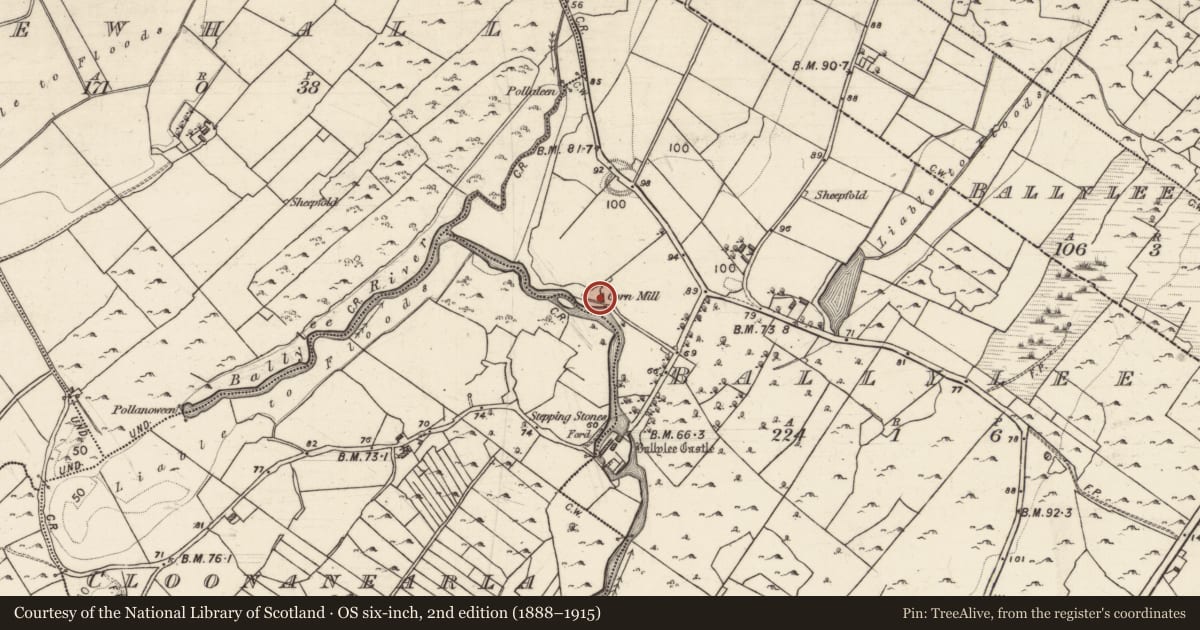 Ordnance Survey six-inch map, 2nd edition (1888–1915) covering the location of Water mill - vertical-wheeled, Ballylee, County Galway, with a pin at the register's coordinates